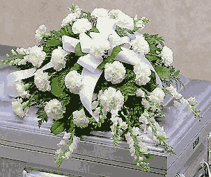 Ovalo fúnebre de Claveles y Complementos.